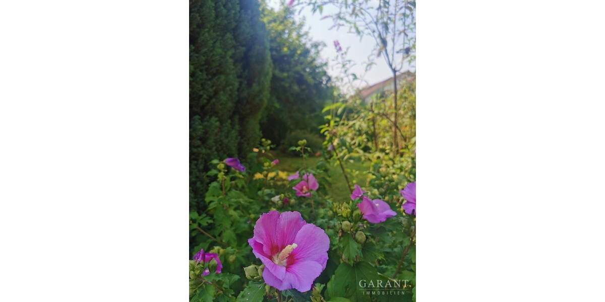 Freistehend und mit großem Garten 6 zimmer