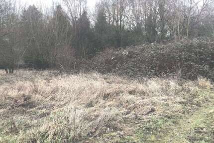 Grundstück zu verkaufen in Neckarbischofsheim 149.000 € 614 m² zimmer