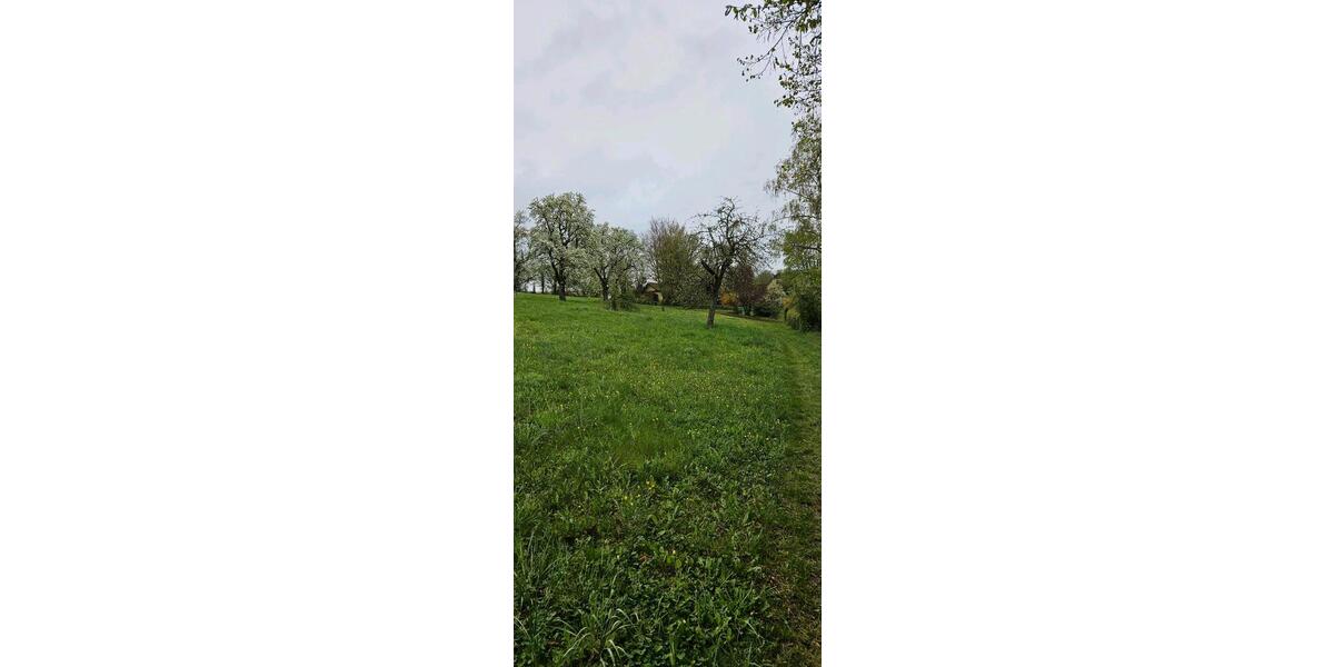 Grundstück Oberstenfeld - 1.000&euro; | Angebot:26134290