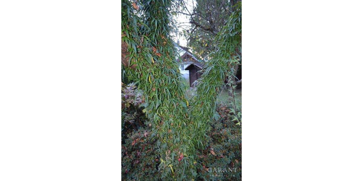 Freistehend und mit großem Garten 6 zimmer