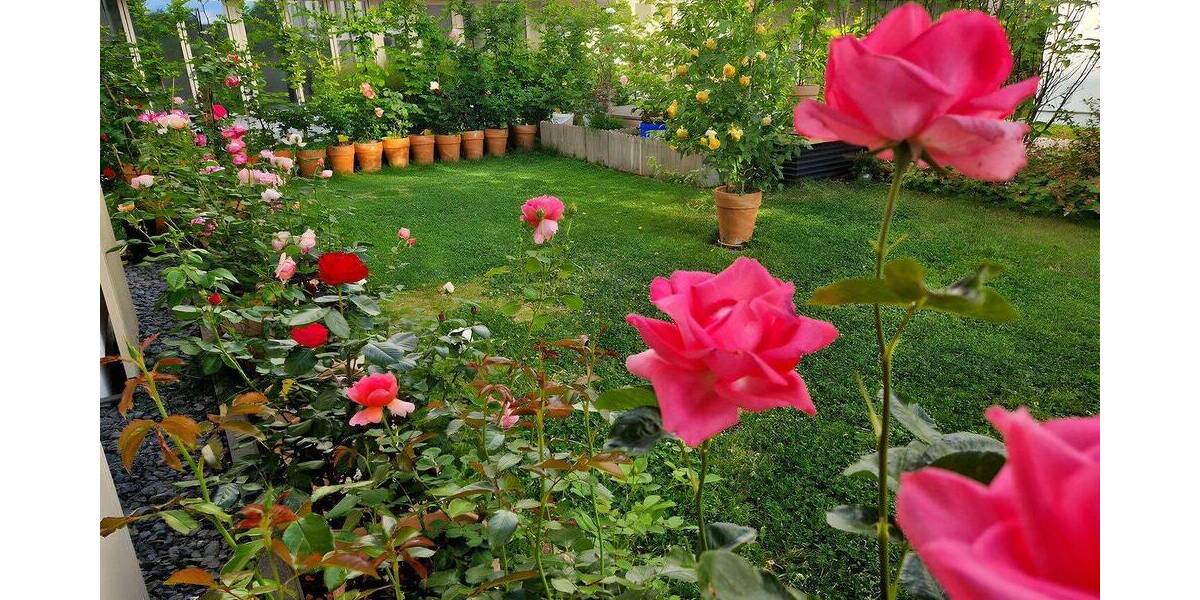 Etagenwohnung Bad Rappenau Bad Rappenau - 4 Zimmer, 123 m&sup2;, 1.450&euro; | Angebot:26805709