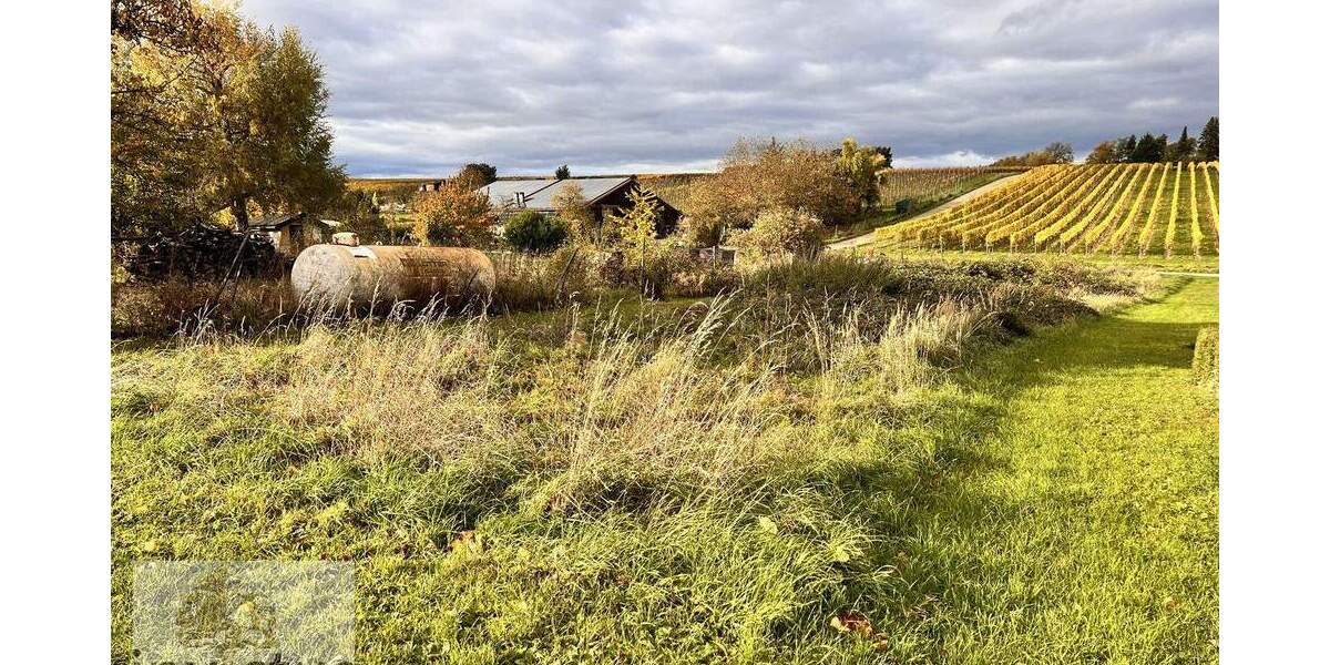 Freizeitidylle pur - Ruhe, Sonne und Natur in den Weinbergen von Leingarten zimmer
