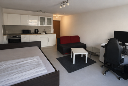 Wohnung Schwaigern - 1 Zimmer, 32 m&sup2;, 159.000&euro; | Angebot:26768742