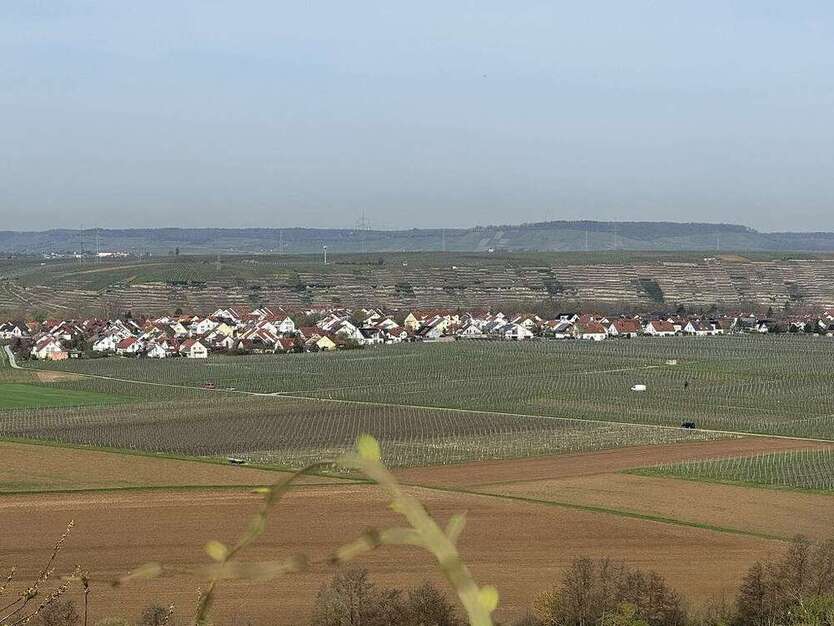 Grundstück in Lauffen 123.900 € 17866 m²