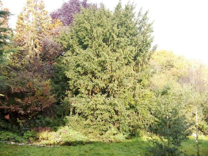 Grundstück zu verkaufen in Güglingen 499.000 € 1020 m²