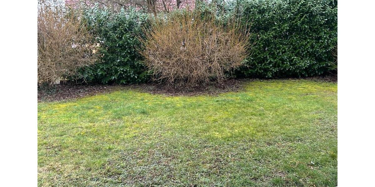 Erdgeschoßwohnung Bad Wimpfen - 2 Zimmer, 65 m&sup2;, 289.000&euro; | Angebot:25169924