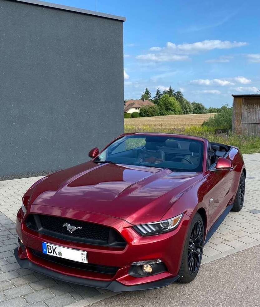 Mustang