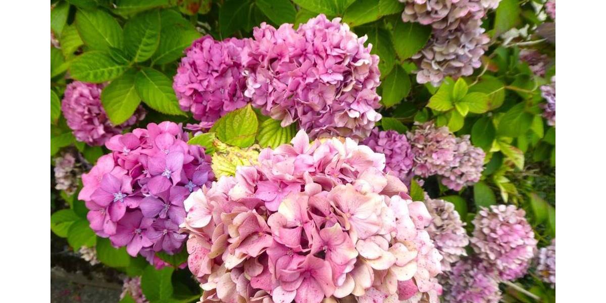 Grundstück Bietigheim-Bissingen Bietigheim - 595.000&euro; | Angebot:25777946