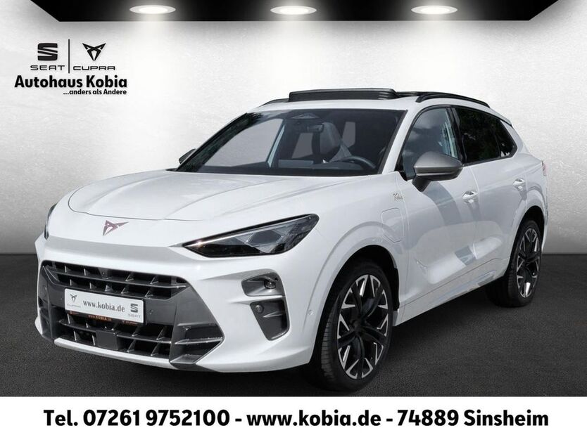 Cupra Terramar 7.920 km 52.890 € Sinsheim 74889