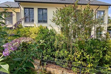 Exclusive große Wohnung in Feldrandlage 4 zimmer