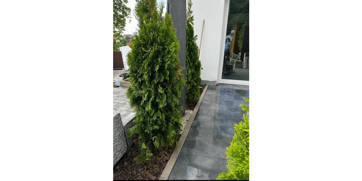 Erdgeschoßwohnung Cleebronn - 4 Zimmer, 116 m&sup2;, 1.050&euro; | Angebot:24453106