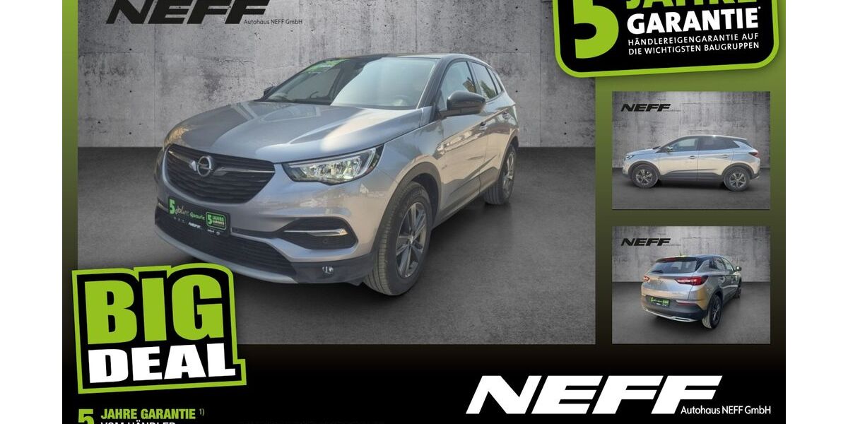 Opel Grandland (X) 38.600 km 19.410 € Bad Friedrichshall 74177