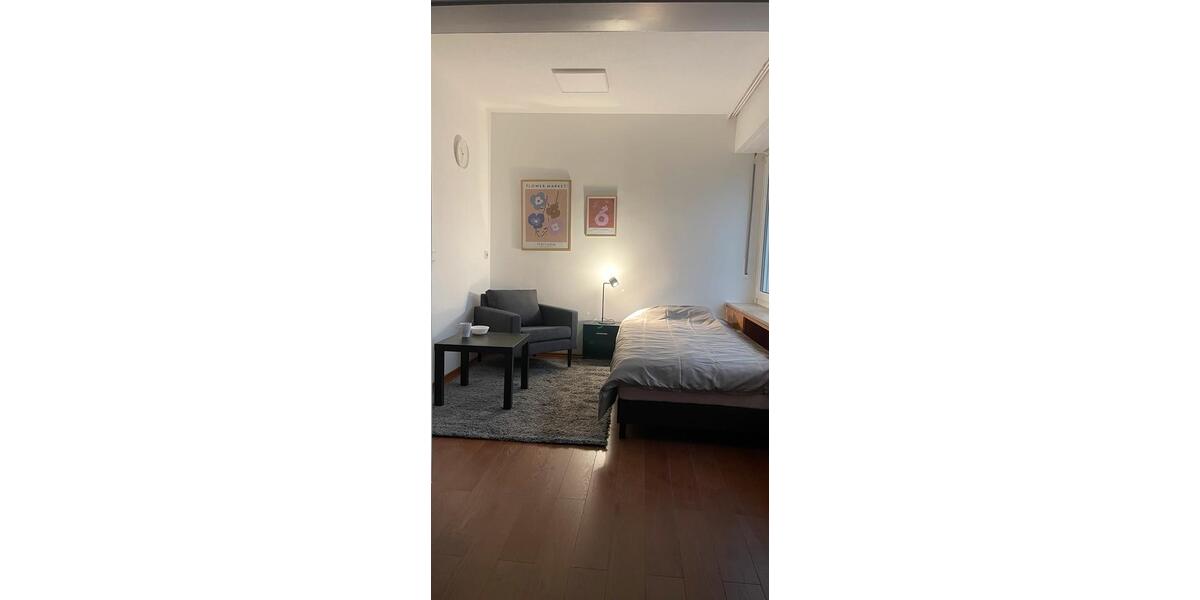 Etagenwohnung Neckarsulm - 1 Zimmer, 99 m&sup2;, 450&euro; | Angebot:25643896